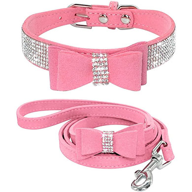 pink dog collar for your goldendoodle