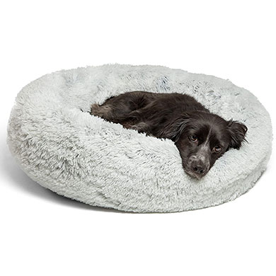 comfortable bed for your goldendoodle