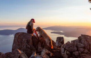 Things You Need Before Hiking with Goldendoodle