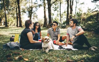 how to socialize a Goldendoodle puppy