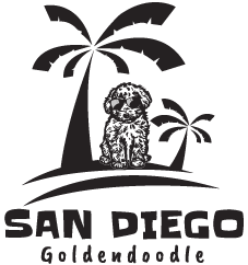 https://sandiego-goldendoodle.com/wp-content/uploads/2021/03/sandiego-Goldendoodle-black-logo.png